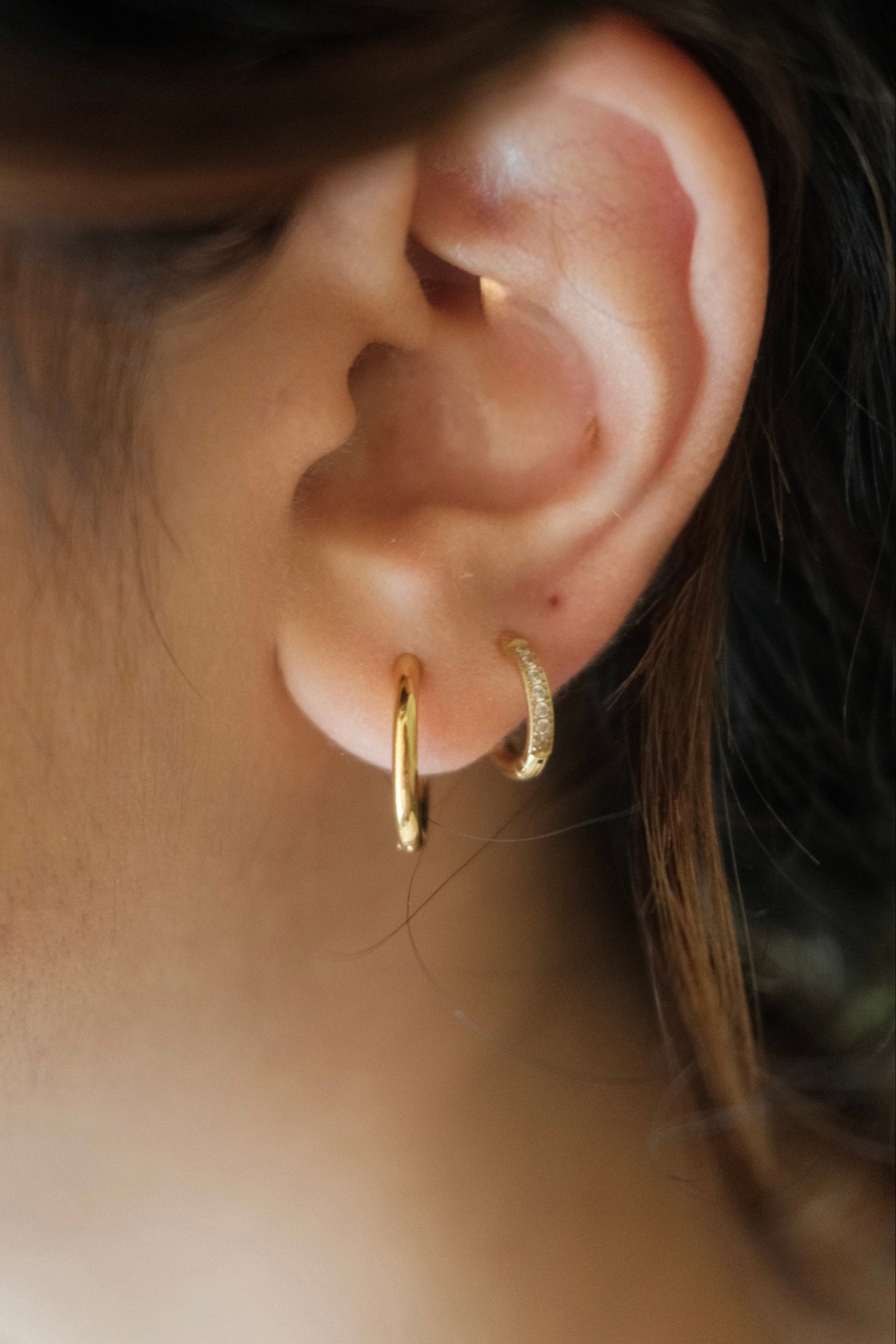 Classic Gold Hoops
