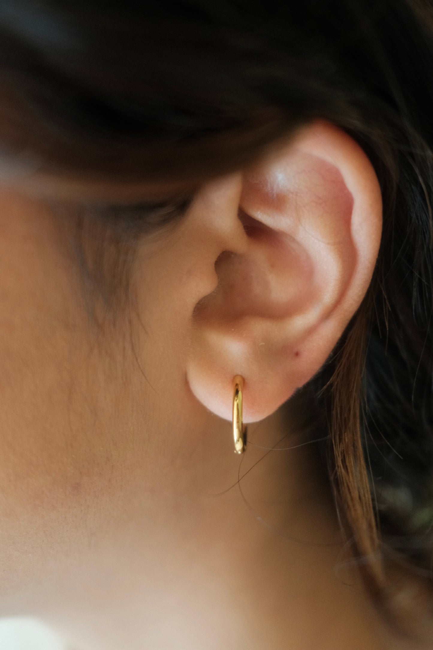Classic Gold Hoops